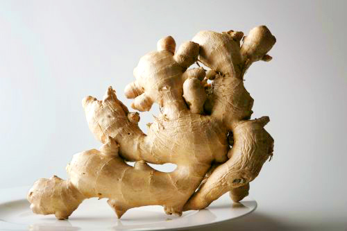 �ԧ ��ع����þѴ����ª��