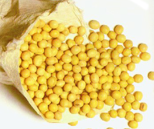 ��������ͧ,����ª���������ͧ